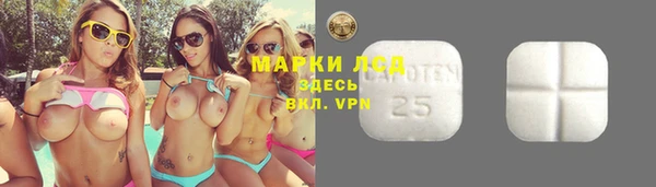 твердый Алзамай